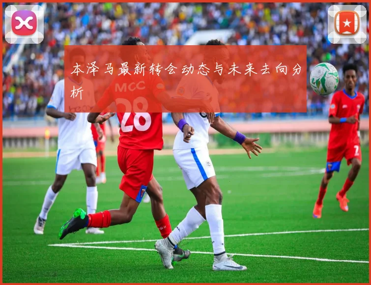 本泽马最新转会动态与未来去向分析